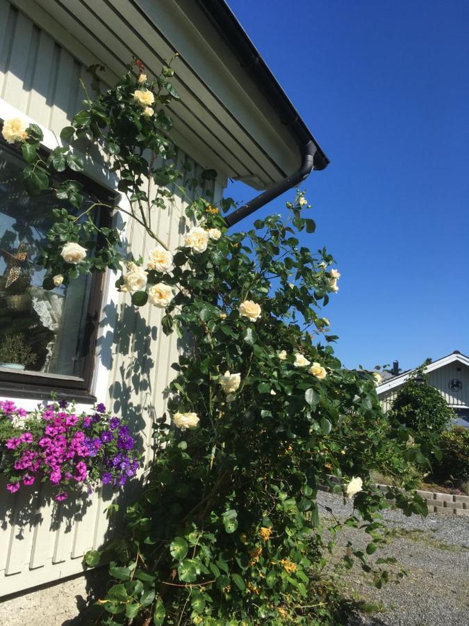 Airbnbekasberg Olofstorp Εξωτερικό φωτογραφία