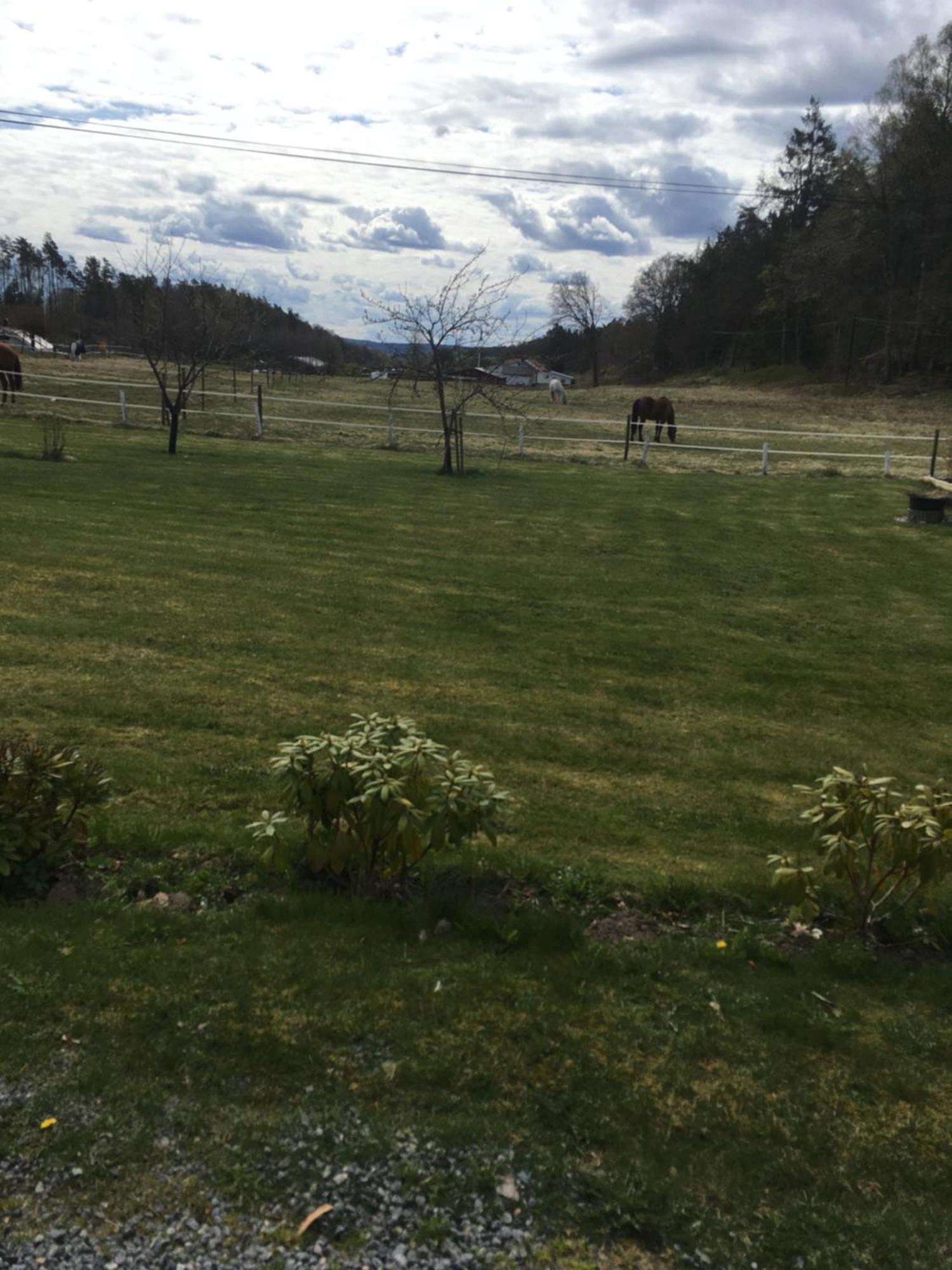 Airbnbekasberg Olofstorp Εξωτερικό φωτογραφία