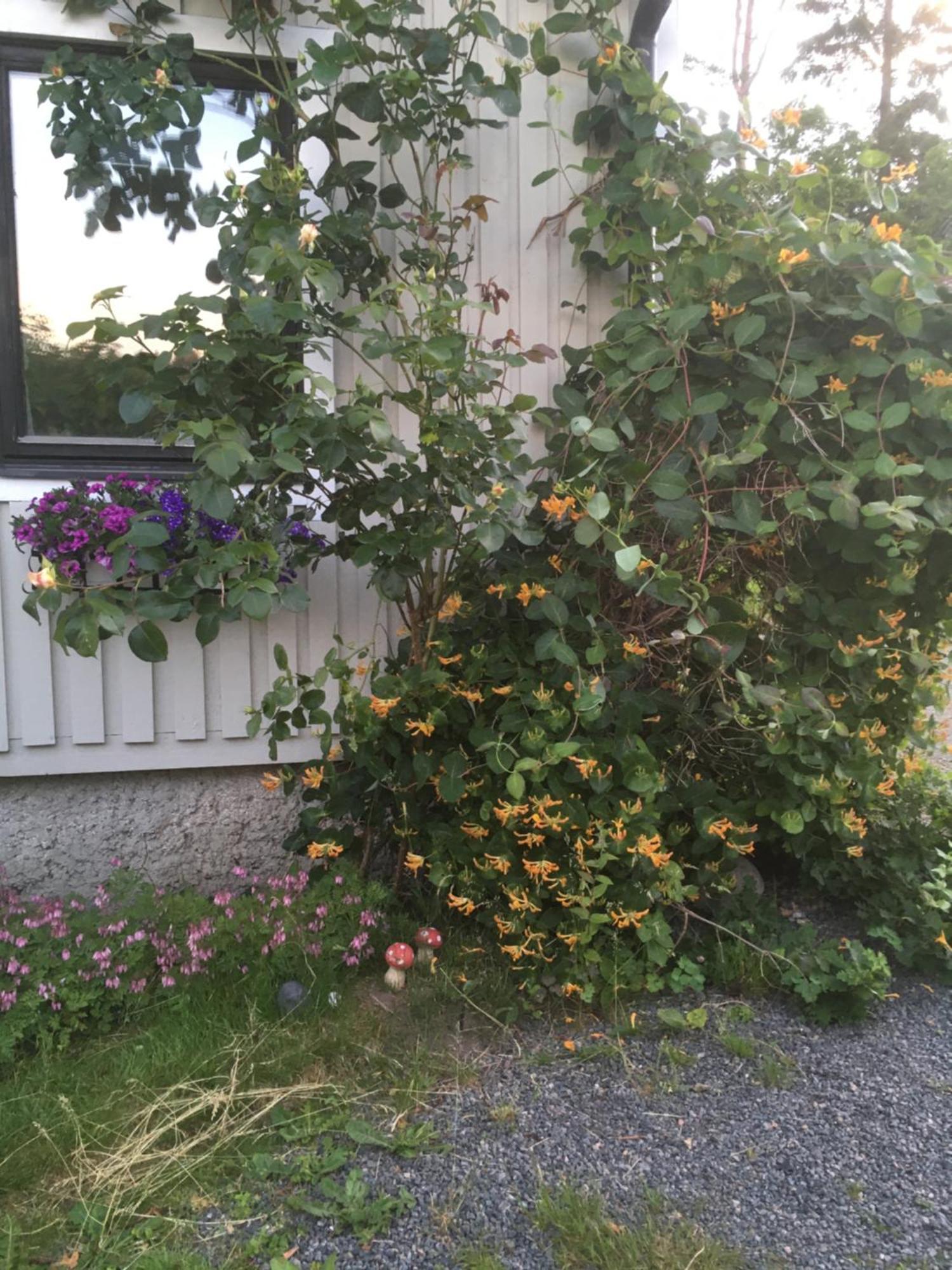 Airbnbekasberg Olofstorp Εξωτερικό φωτογραφία
