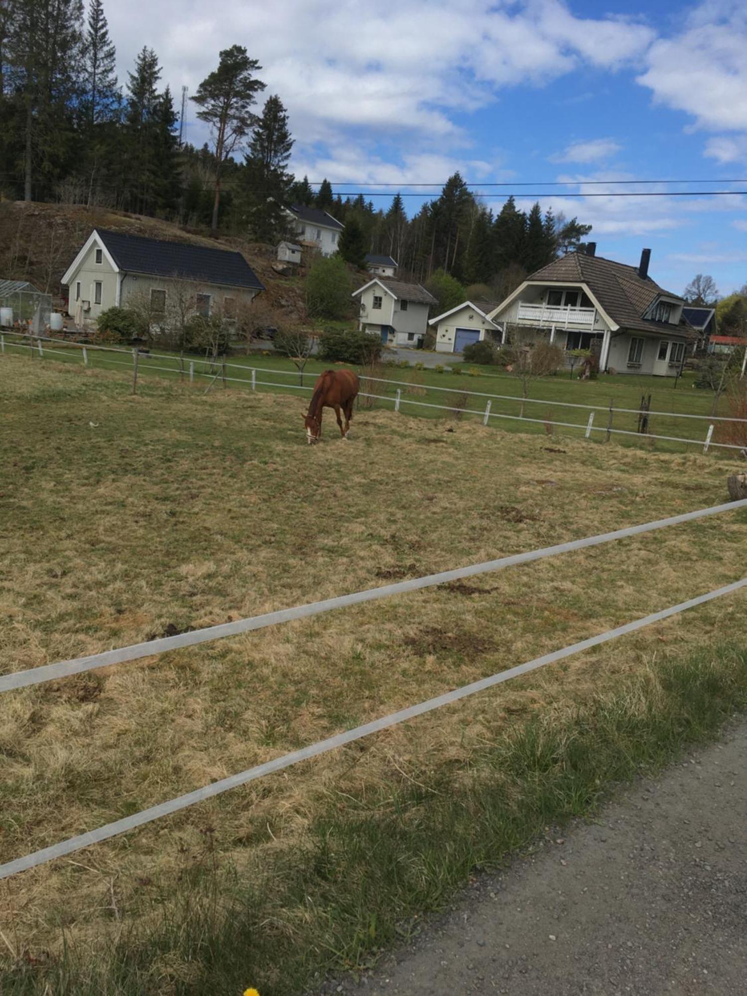 Airbnbekasberg Olofstorp Εξωτερικό φωτογραφία