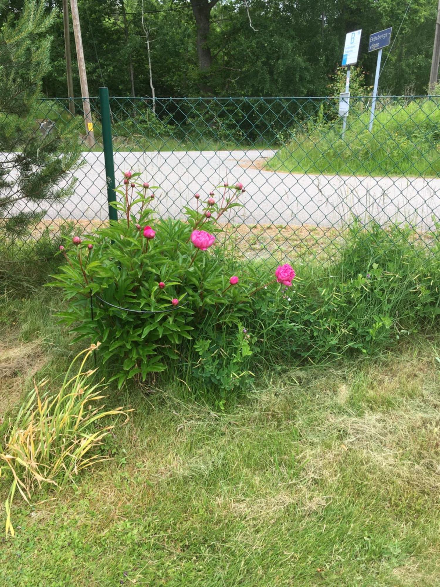 Airbnbekasberg Olofstorp Εξωτερικό φωτογραφία