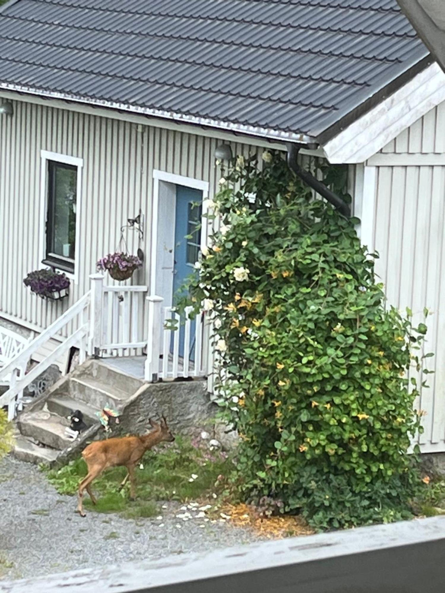 Airbnbekasberg Olofstorp Εξωτερικό φωτογραφία